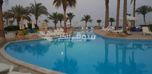 شاليه للايجار بلاسيرينا العين السخنه - 6