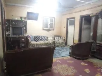 المطرية