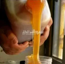 عسل سدر يمني ملكي حضرمي وعصيمي دواء لكل داء مناسب جدا لمرضى السكر
