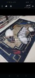 سجاد روعه - 10