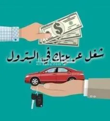 تأجير السيارات في اكبر شركات البترول