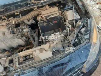 رينو فلوينس