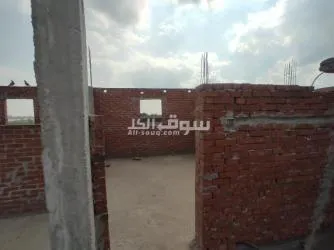 البحيره ايتاي البارود الغرب على طريق قليشان - 4
