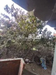 البحيره ايتاي البارود الغرب على طريق قليشان - 17