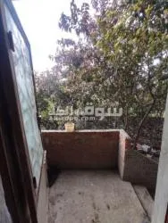 البحيره ايتاي البارود الغرب على طريق قليشان - 18