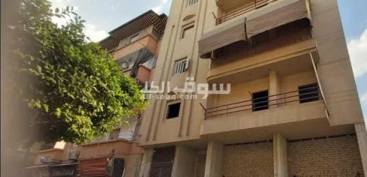 سندرة وارضي