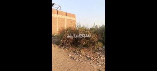 ارض للبيع - 3