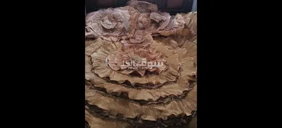 الاسكندريه سيدى بشر