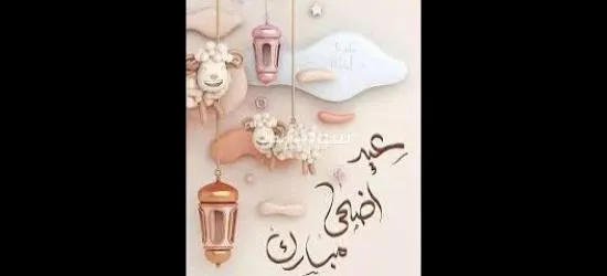 بيع لحوم بلدي