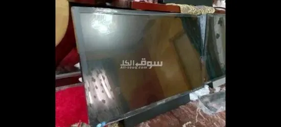 المرج الجديده - 1
