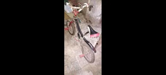 عجله ******ل مقاس 14 - 3