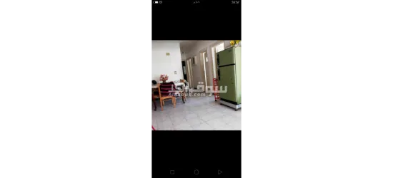 شقه لايجار المصيفي شاطئ النخيل - 10