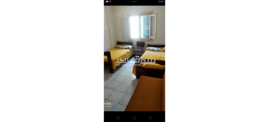 شقه لايجار المصيفي شاطئ النخيل - 12