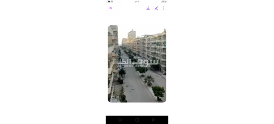 شقه لايجار المصيفي شاطئ النخيل - 14