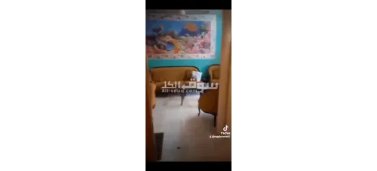 شقه مصيف الهانوفيل شارع الجمعيه - 7