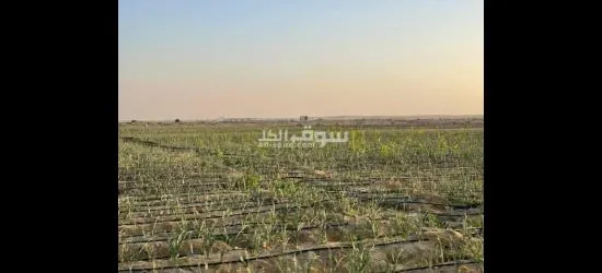 مزرعتك معاك - 2