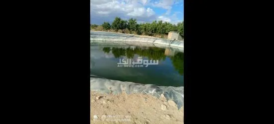 مزرعتك معاك - 4