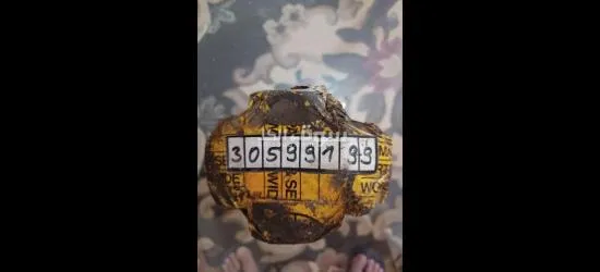 قطع غير مستعملة جديدة جررروف