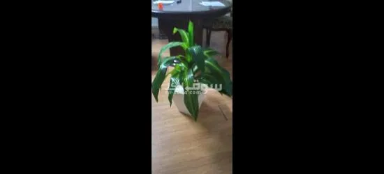 شجر صناعي