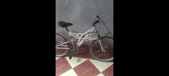 عجلتين بحاله جيده للبيع مطلوب 4000 ج