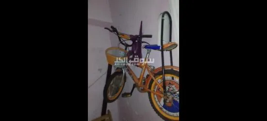 عجمي الاسكندرية شهر العسل شارع المينا الجديد