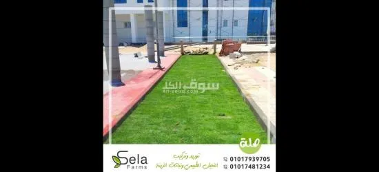 نجيل طبيعي عالي الجودة