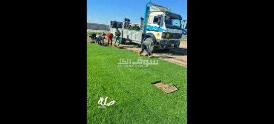 نجيل طبيعي عالي الجودة - 2