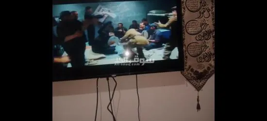 طنطا او كفر الزيات