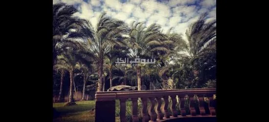 قصر فاخر في كمبوند واحة الزهراء لاصحاب الذوق الرفيع - 6