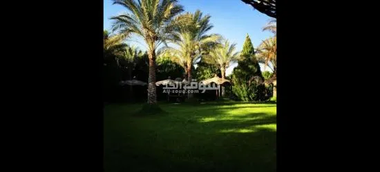 قصر فاخر في كمبوند واحة الزهراء لاصحاب الذوق الرفيع - 9