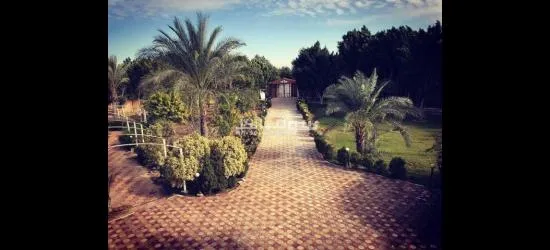 قصر فاخر في كمبوند واحة الزهراء لاصحاب الذوق الرفيع - 15
