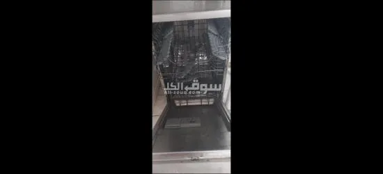 غساله اطباق white point - 4
