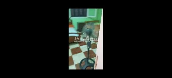 بيت للبيع مساحه 700متر - 16