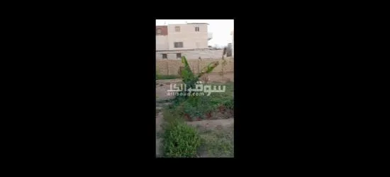 بيت للبيع مساحه 500مترو200متر جنينه - 2