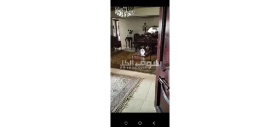 شقه للبيع بمدينه نصر بسعر لقطه - 11