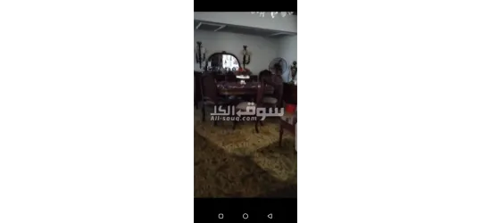 شقه للبيع بمدينه نصر بسعر لقطه - 12