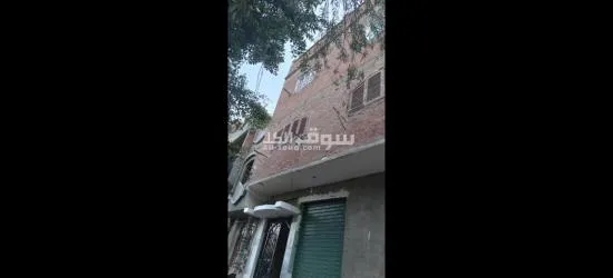 الفيوم الصيفيه الجديده خلف مخبز ابو ياسر حجاج - 3