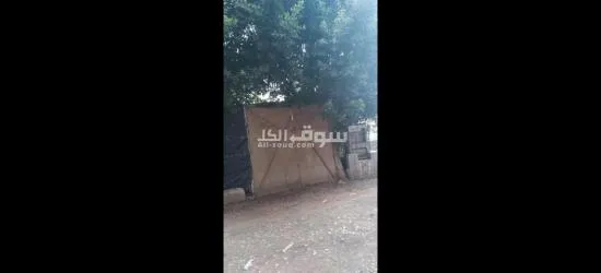 الفيوم الصيفيه الجديده خلف مخبز ابو ياسر حجاج - 13