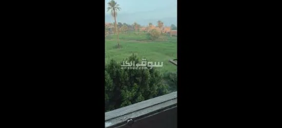 الفيوم الصيفيه الجديده خلف مخبز ابو ياسر حجاج - 20