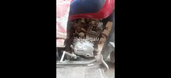 شارع عبد الباقي حسين خصوص  قليوبيه - 2