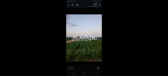 القلانش - 2