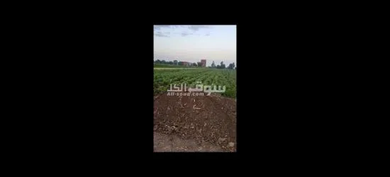 القلانش - 3