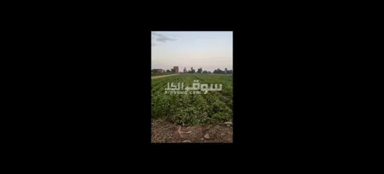 القلانش - 5