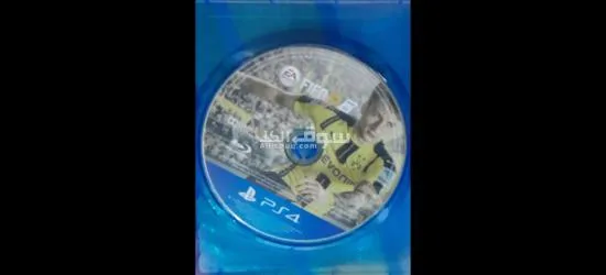 لوران اسكندرية - 6