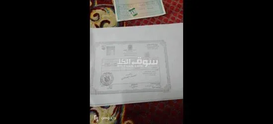 محاسب عام - 5
