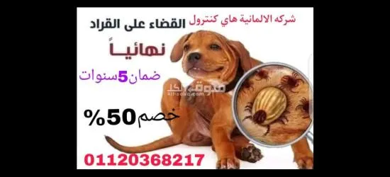 شركة مكافحة حشرات - 3