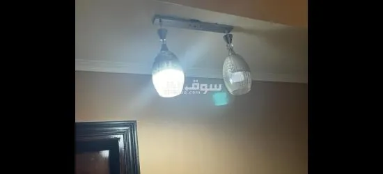 البيع لدواعي السفر - 6