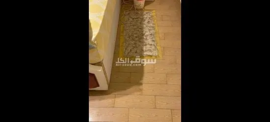 البيع لدواعي السفر - 8