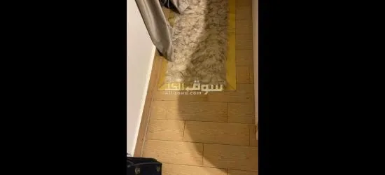 البيع لدواعي السفر - 15