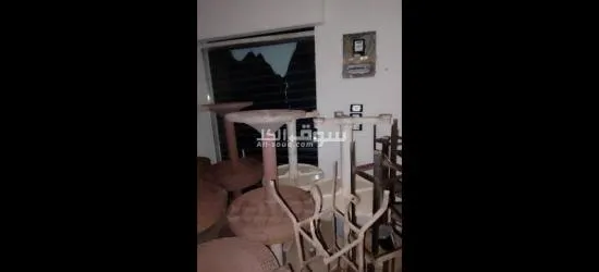 أغراض لاي كافيه - 2